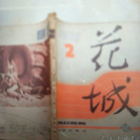 1985年花城第2集