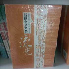 流光（新概念-精英获奖者作文范本）（特惠品）-