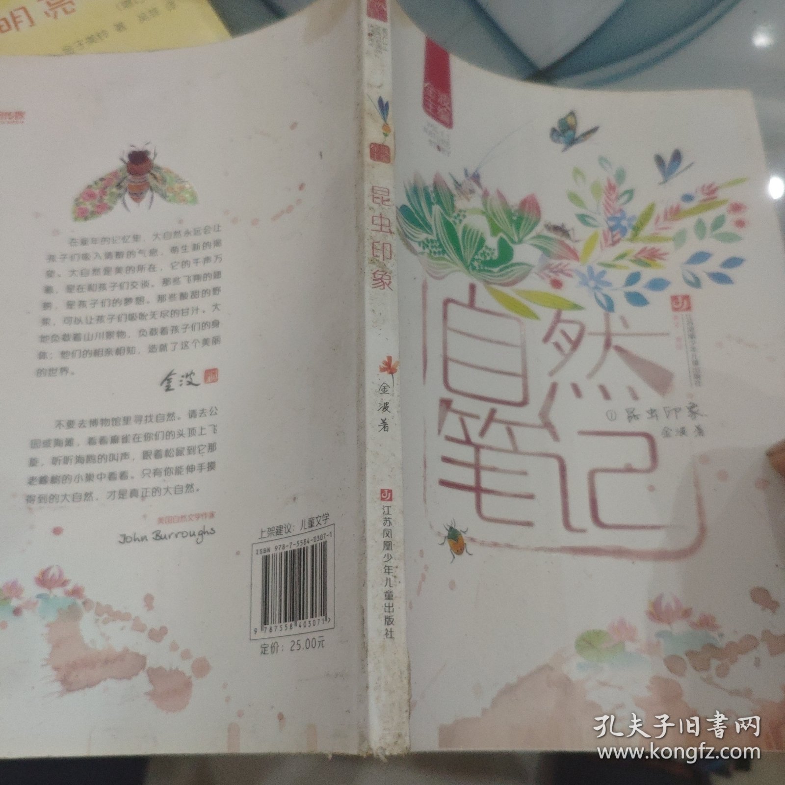自然笔记（Vol 1.1）：昆虫印象