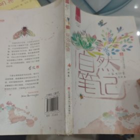 自然笔记（Vol 1.1）：昆虫印象
