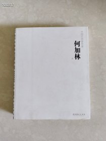 中国艺术家年鉴：何家林卷