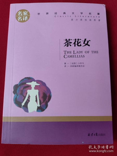 茶花女 中小学生课外阅读书籍世界经典文学名著青少年儿童文学读物故事书名家名译原汁原味读原著