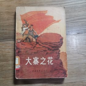 正版 大赛之花