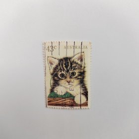 外国邮票 澳大利亚邮票可爱猫咪 信销1枚 如图瑕疵