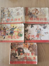 杨家将5册