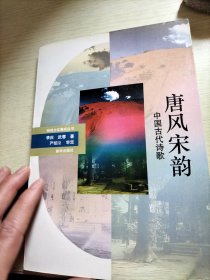 神州文化集成叢從書 唐風宋韻
