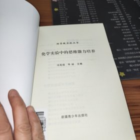 动手做实验丛书：光学实验改进设计实践.初级化学实验改进设计实践.物理实验教学改革指导.化学实验中的思维能力培养.非金属实验改进设计实践.物理实验器材巧用【6本合售】