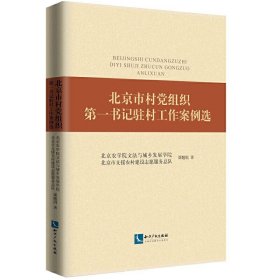 北京市村党组织第一书记驻村工作案例选