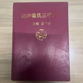 湖南梁氏三甲文史