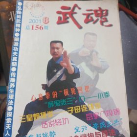 武魂杂志 2001 6不缺页 有钉绣 醉鬼张三门拳艺小拳 白猿刀下 岳家八段锦 太极通脉拳三十二式4