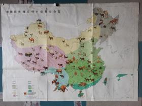 地图:中国珍贵稀有特产动物分布图(73X53CM