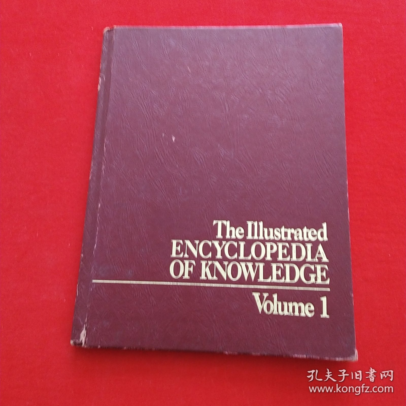 TheillustratedENCYCLOPEDLAOFKNOWLEDGE ( 图角知识百科全书 ）第一卷