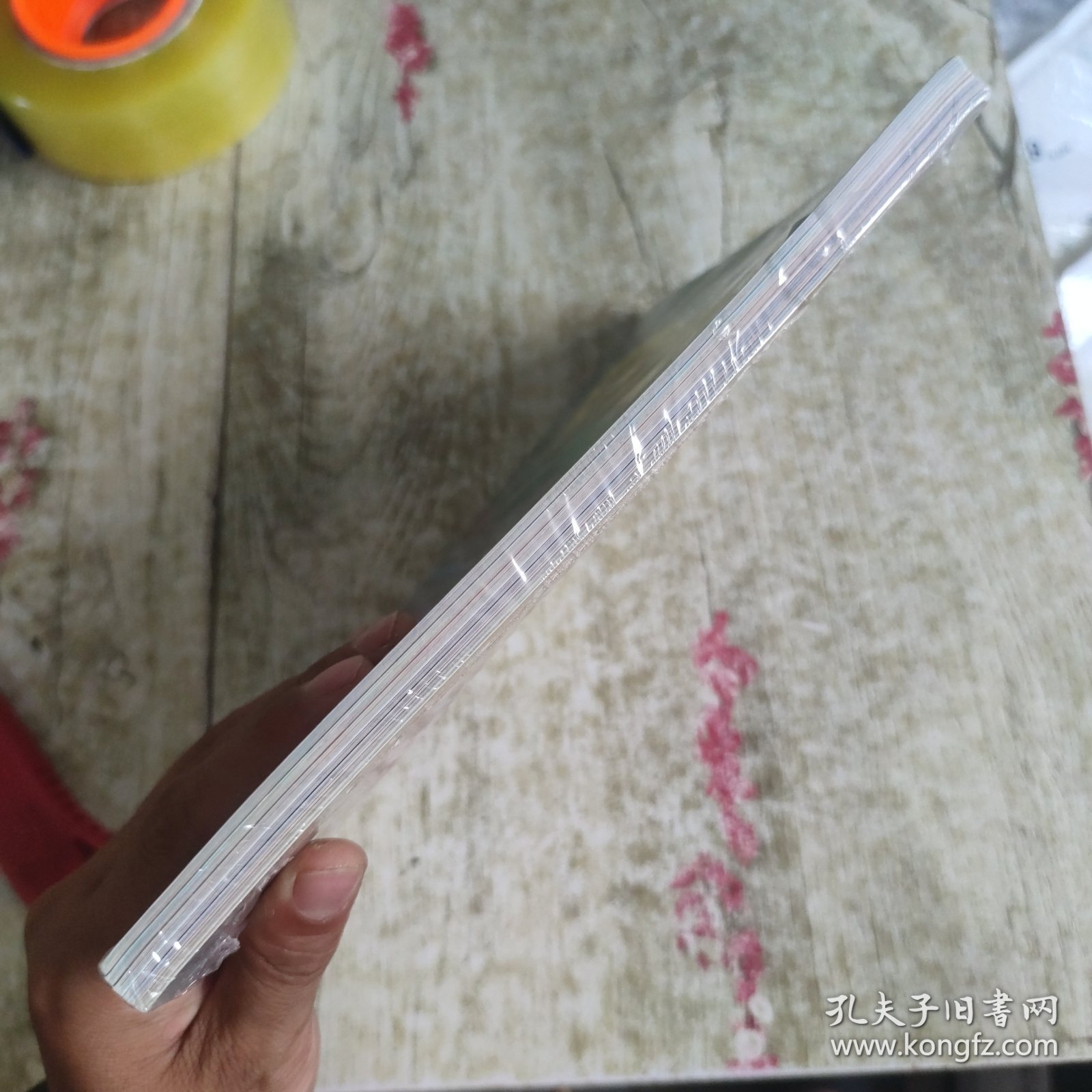 图书馆老鼠绘本系列 共5册