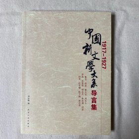 中国新文学大系导言集 (1917-1927)  库存书  内页洁净未翻阅