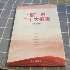 “数”说二十大报告思维导图版