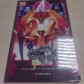 复仇者世界3：下一个世界