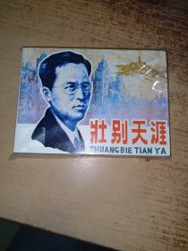 壮别天涯