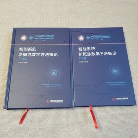 智能系统新概念数学方法概论（全2册）