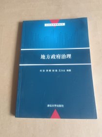 公共治理创新丛书：地方政府治理