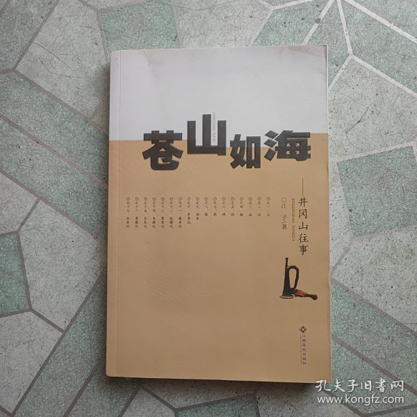 苍山如海——井冈山往事