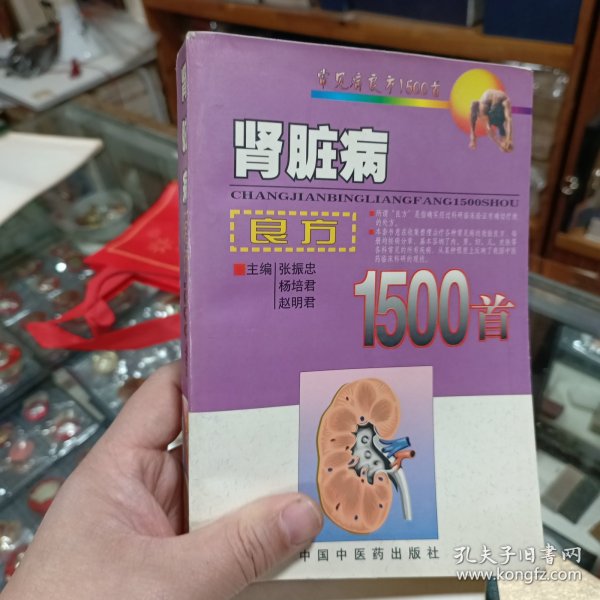 肾脏病良方1500首