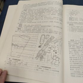 中华人民共和国药典(1990年版一部)注释选编