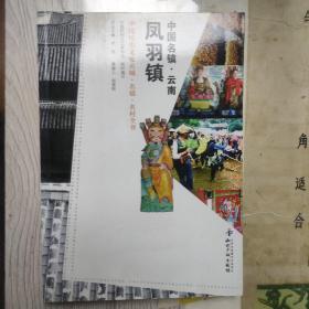 中国名镇  云南凤羽镇