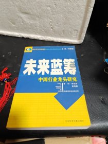 未来蓝筹:中国行业龙头研究