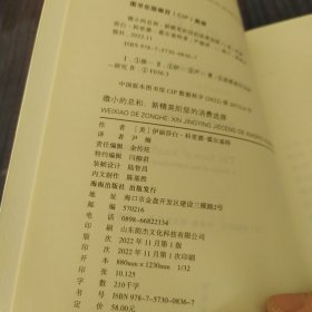 微小的总和：21世纪的志向阶级(理想国纪实系列)（一版一印）