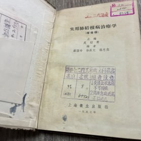 实用肺结核病治疗学