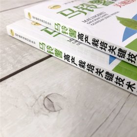 科学种菜致富问答丛书--马铃薯高产栽培关键技术问答