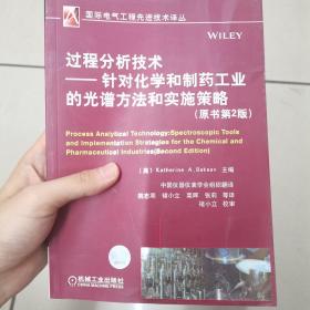 过程分析技术：针对化学和制药工业的光谱方法和实施策略（原书第2版）