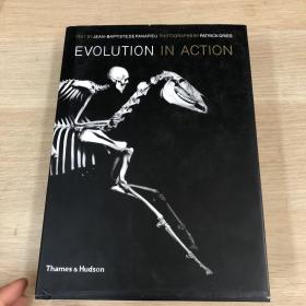 Evolution in Action：Natural History through Spectacular Skeletons