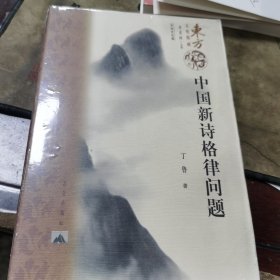 中国新诗格律问题