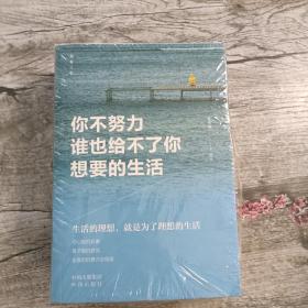 【正版·全５册】致奋斗者-你不努力谁也给不了你想要的生活+将来的你一定感谢现在拼命的自己+余生很贵，请勿浪费+别在吃苦的年纪选择安逸+你若不勇敢谁替你坚强