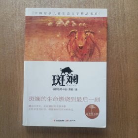 青青望天树 中国原创儿童生态文学精品书系 斑斓