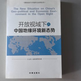 国际政治与中国外交系列丛书：开放视域下的中国地缘环境新态势