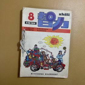 智力1991年 1-12期合订本缺第9册 +1990年7，共12期合售