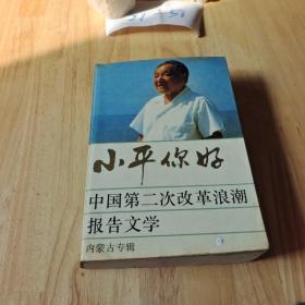 小平你好  中国第二次改革浪潮报告文学