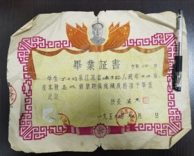 毕业证书，南通县平潮小学，D8