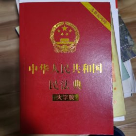 中华人民共和国民法典（大字版32开大字条旨红皮烫金）2020年6月新版