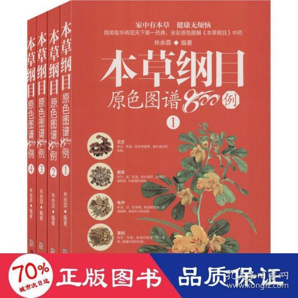 本草纲目原色图谱800例（套装共4册）