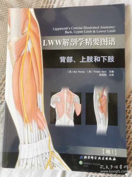 LWW解剖学精要图谱：背部、上肢和下肢