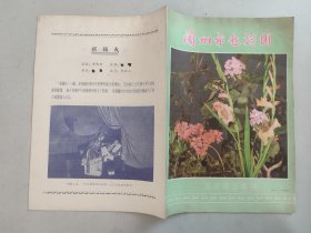 戏单节目单：兰州市越剧团巡回演出专刊