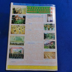 11633；搏击 1999年第10期 清净布气门散手格斗术；鹰爪翻子拳散手入门；截拳道低腿攻击法；跆拳道柔韧素质训练；跆拳道教程（八）；