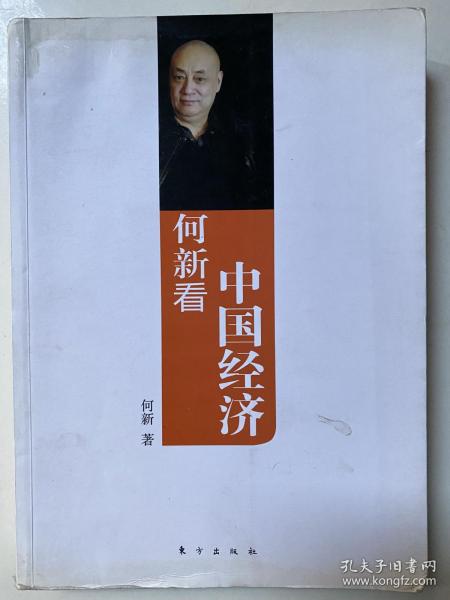 何新看中国经济：来自真正大师的非主流、独立经济观察，旁观思考中国经济三十年后道未来，何新非主流经济学的最新呈现。