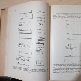DIE ROLLE DER EINZELNEN LABYRINTHREZEPTOREN BEI DER ORIENTATION VON AUGEN UND KOPF IM RAUME