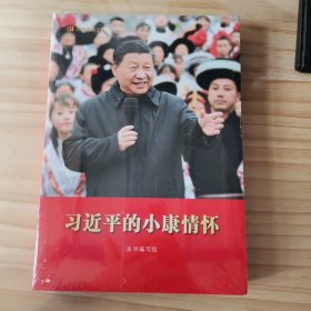 习近平的小康情怀