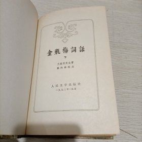 金瓶梅词话（下册）