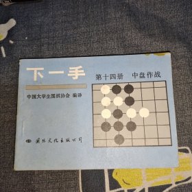 下一手第十四册 中盘作战